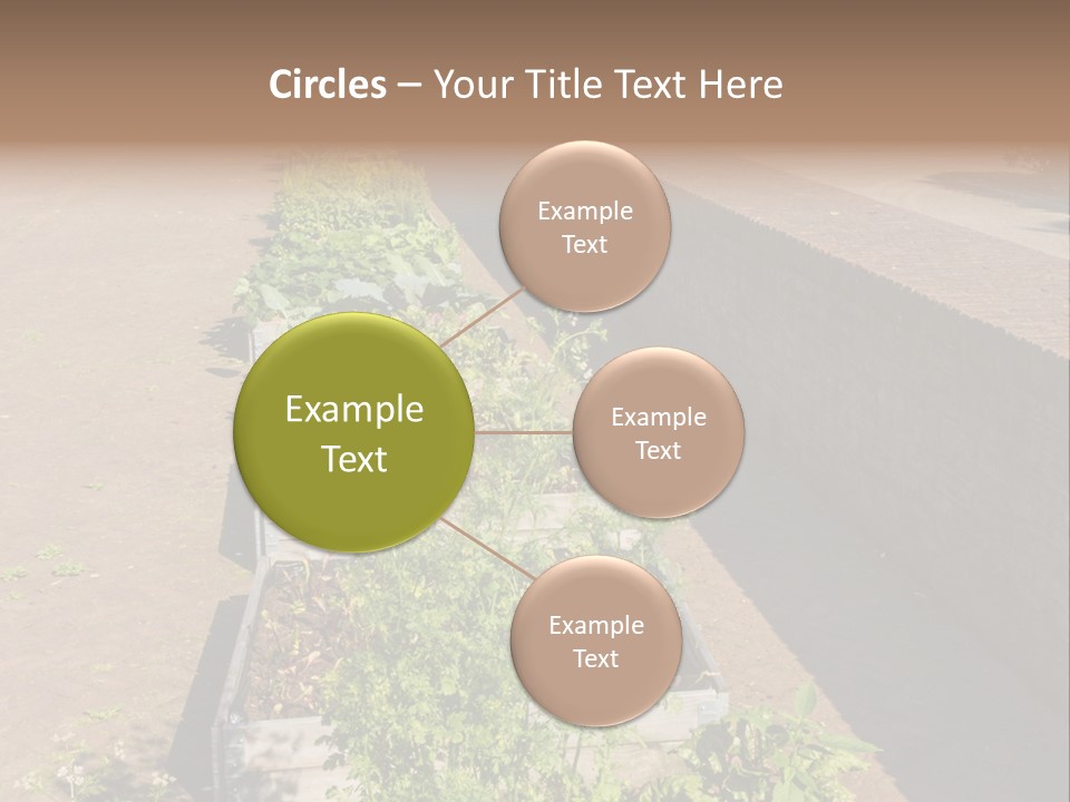 A Row Of Plants In Front Of A Brick Building PowerPoint Template