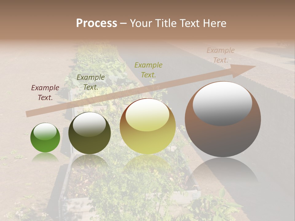 A Row Of Plants In Front Of A Brick Building PowerPoint Template