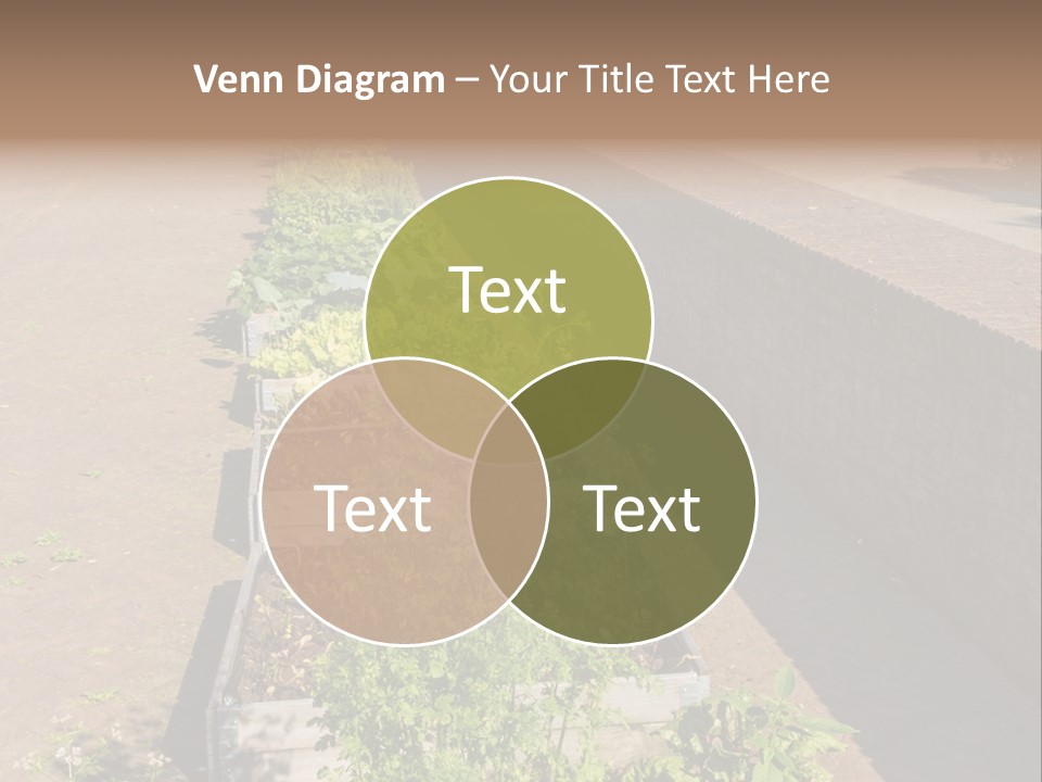 A Row Of Plants In Front Of A Brick Building PowerPoint Template