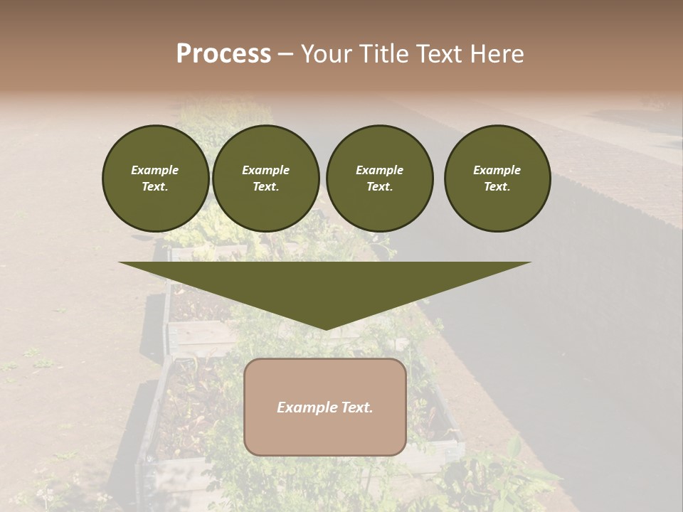 A Row Of Plants In Front Of A Brick Building PowerPoint Template