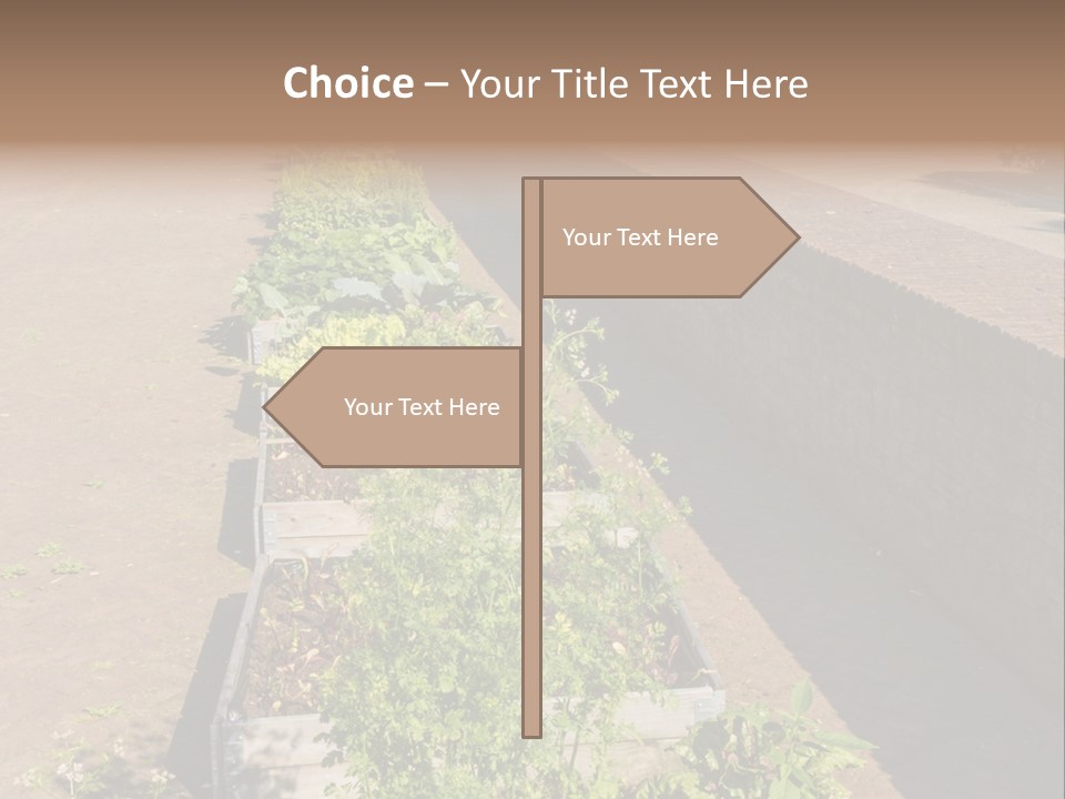 A Row Of Plants In Front Of A Brick Building PowerPoint Template