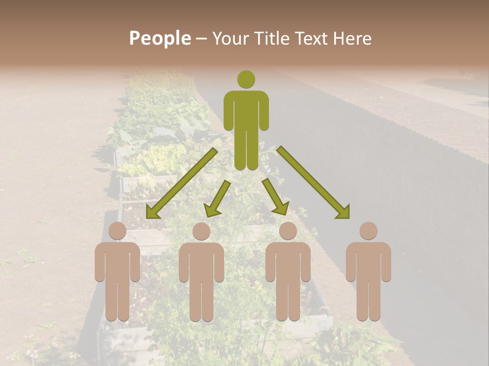 A Row Of Plants In Front Of A Brick Building PowerPoint Template