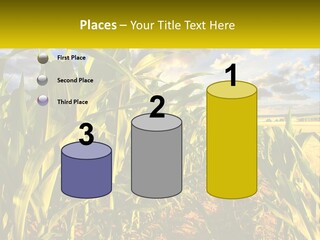 A Corn Field With Clouds In The Background PowerPoint Template