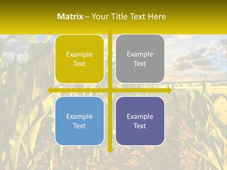 A Corn Field With Clouds In The Background PowerPoint Template