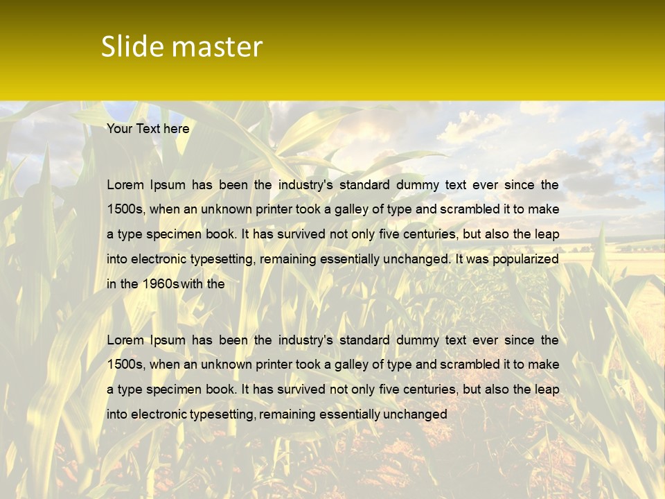 A Corn Field With Clouds In The Background PowerPoint Template