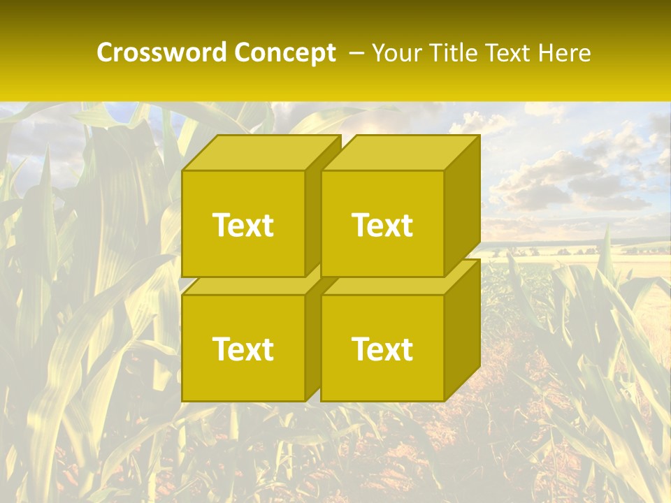 A Corn Field With Clouds In The Background PowerPoint Template