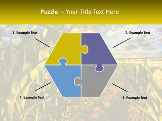 A Corn Field With Clouds In The Background PowerPoint Template