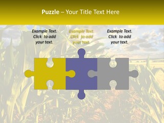 A Corn Field With Clouds In The Background PowerPoint Template