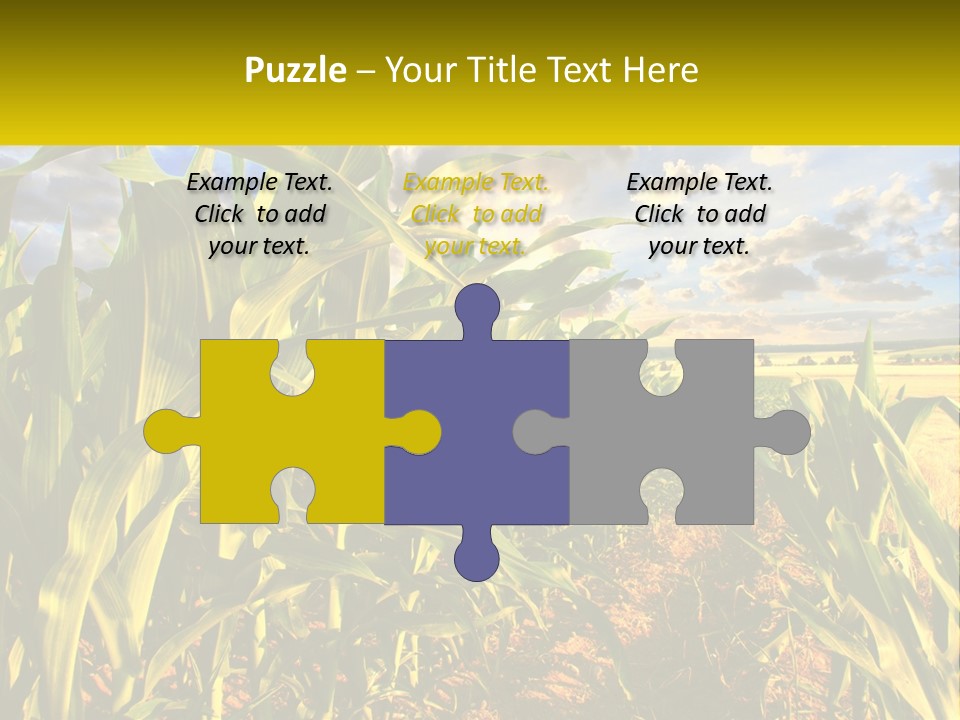 A Corn Field With Clouds In The Background PowerPoint Template