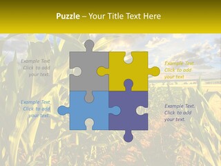 A Corn Field With Clouds In The Background PowerPoint Template