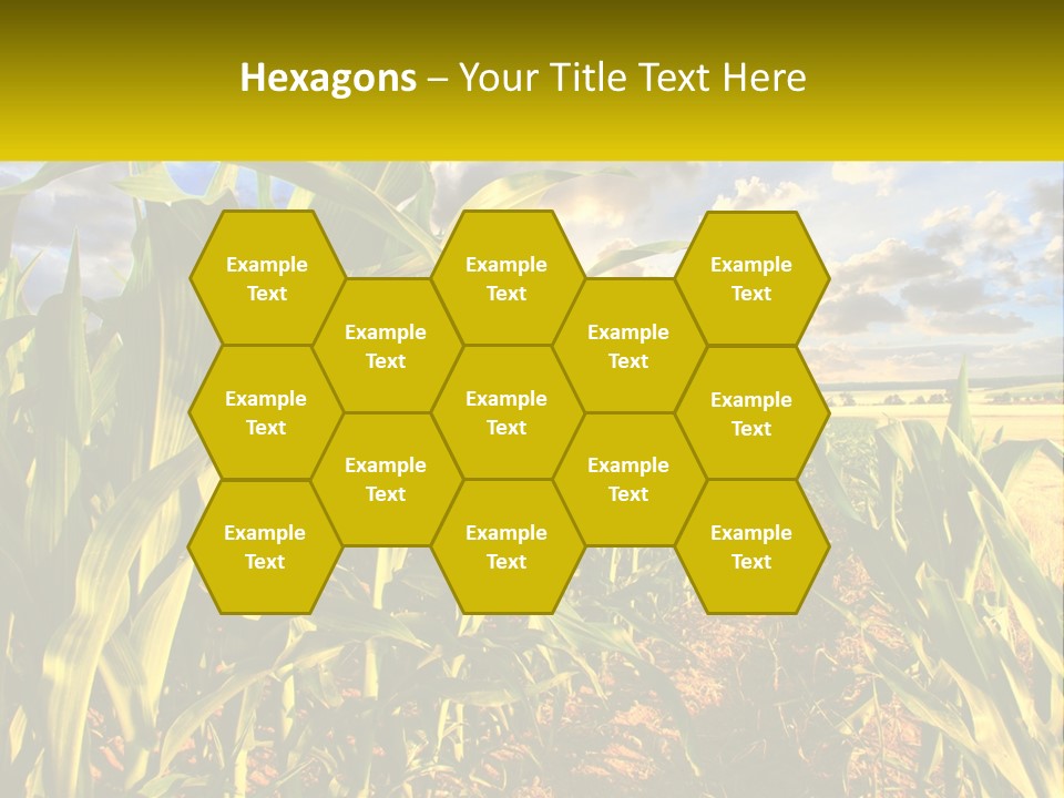 A Corn Field With Clouds In The Background PowerPoint Template