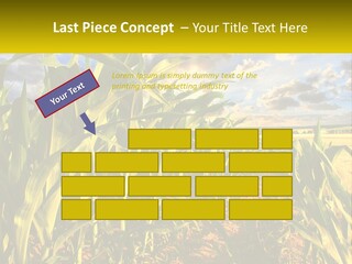 A Corn Field With Clouds In The Background PowerPoint Template