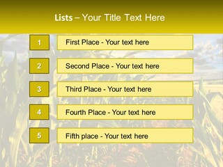 A Corn Field With Clouds In The Background PowerPoint Template