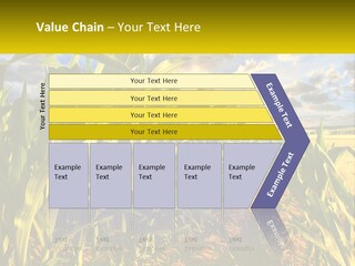 A Corn Field With Clouds In The Background PowerPoint Template