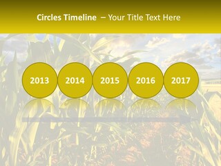 A Corn Field With Clouds In The Background PowerPoint Template