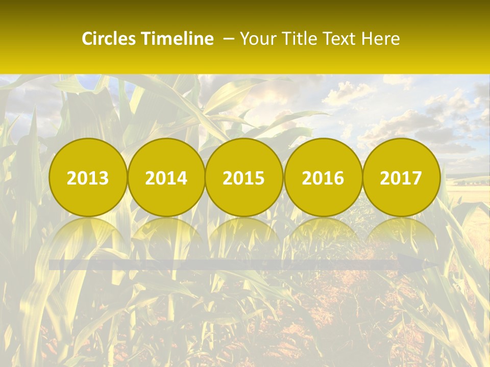 A Corn Field With Clouds In The Background PowerPoint Template