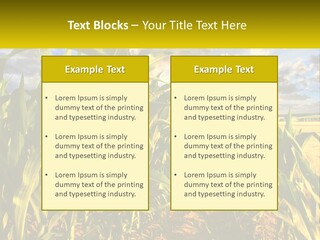 A Corn Field With Clouds In The Background PowerPoint Template