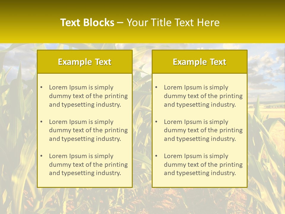 A Corn Field With Clouds In The Background PowerPoint Template