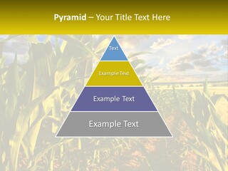 A Corn Field With Clouds In The Background PowerPoint Template