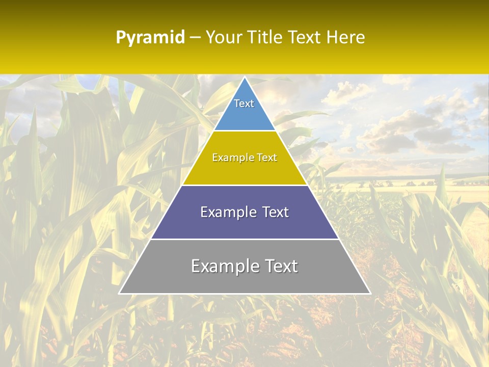 A Corn Field With Clouds In The Background PowerPoint Template