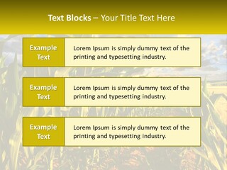 A Corn Field With Clouds In The Background PowerPoint Template
