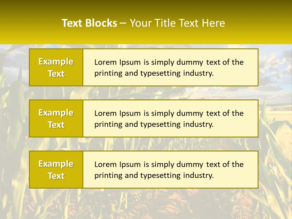 A Corn Field With Clouds In The Background PowerPoint Template