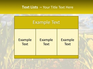 A Corn Field With Clouds In The Background PowerPoint Template