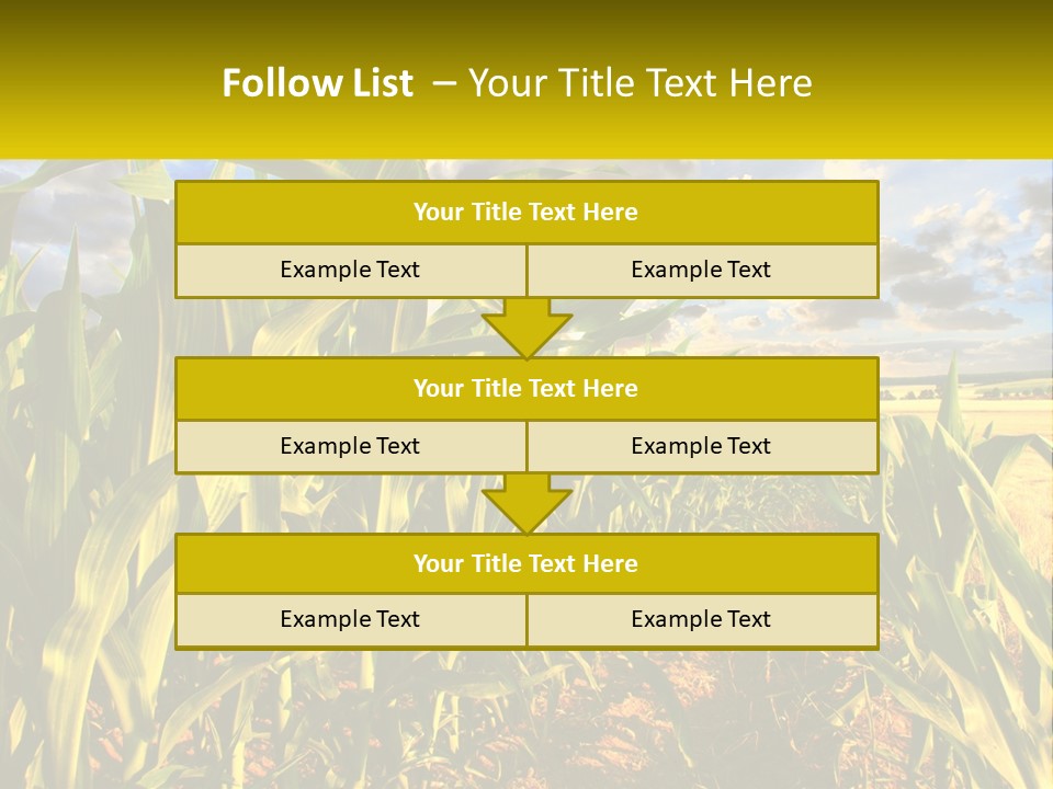 A Corn Field With Clouds In The Background PowerPoint Template