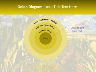 A Corn Field With Clouds In The Background PowerPoint Template