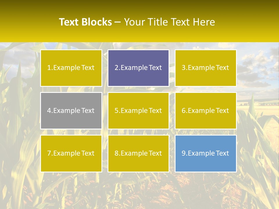 A Corn Field With Clouds In The Background PowerPoint Template