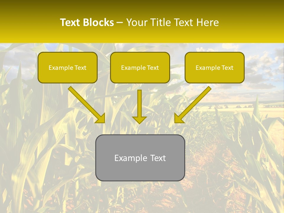 A Corn Field With Clouds In The Background PowerPoint Template