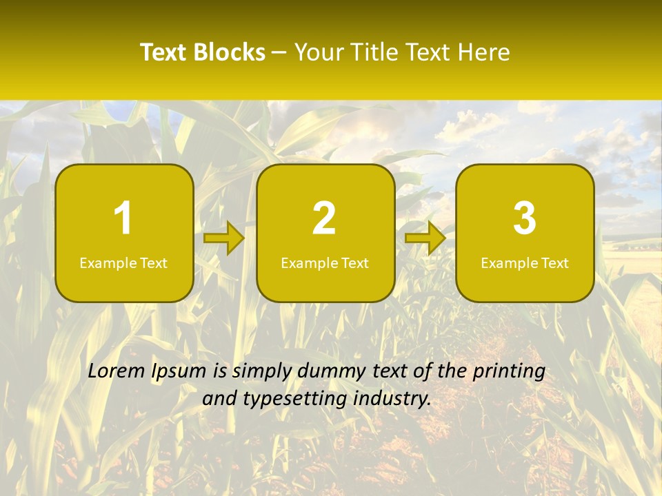 A Corn Field With Clouds In The Background PowerPoint Template