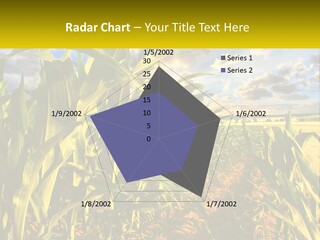 A Corn Field With Clouds In The Background PowerPoint Template