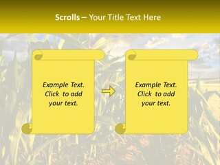 A Corn Field With Clouds In The Background PowerPoint Template