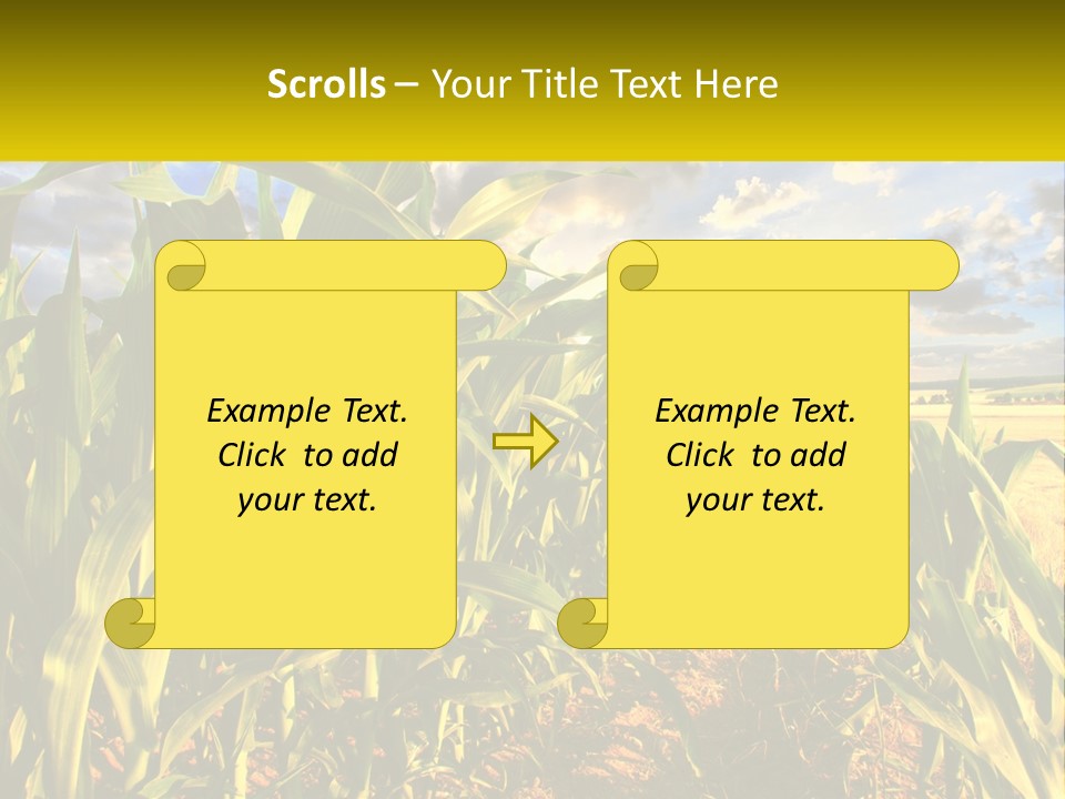 A Corn Field With Clouds In The Background PowerPoint Template