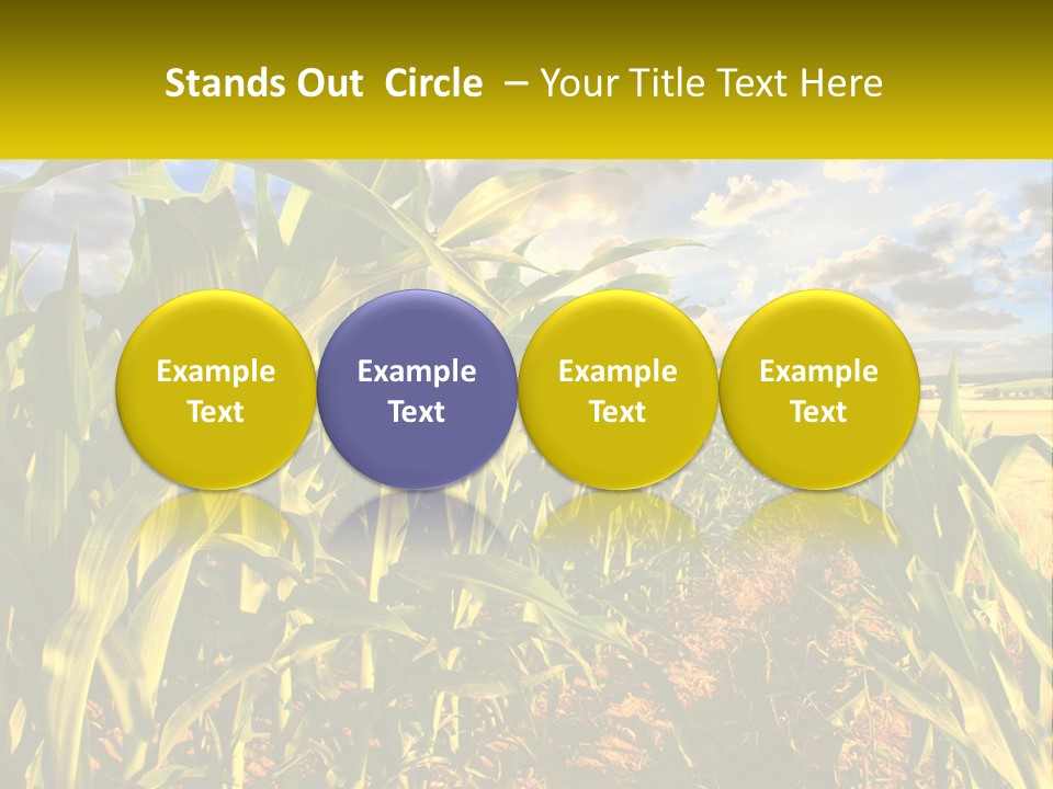 A Corn Field With Clouds In The Background PowerPoint Template