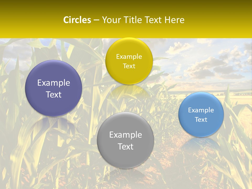 A Corn Field With Clouds In The Background PowerPoint Template