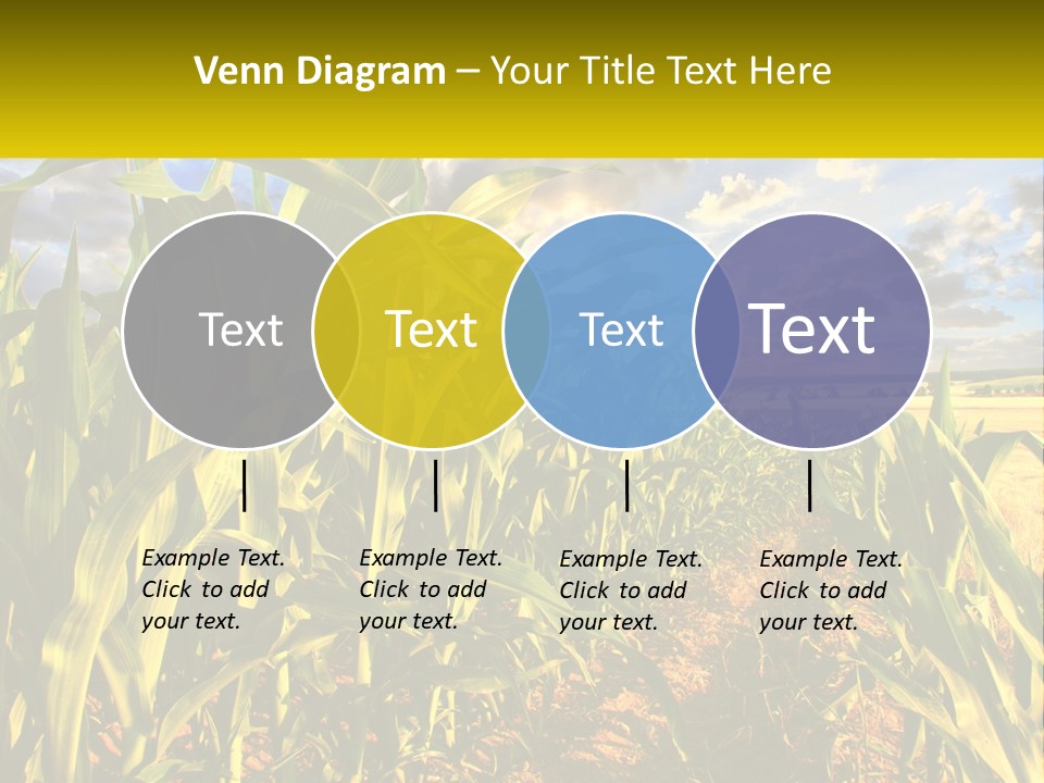 A Corn Field With Clouds In The Background PowerPoint Template