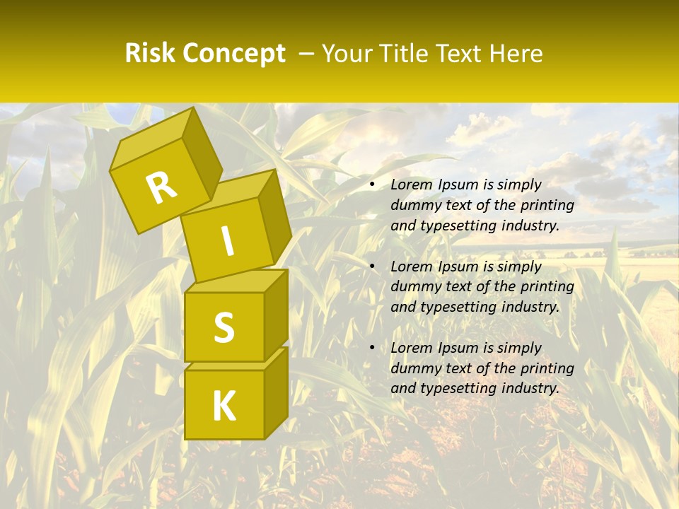 A Corn Field With Clouds In The Background PowerPoint Template