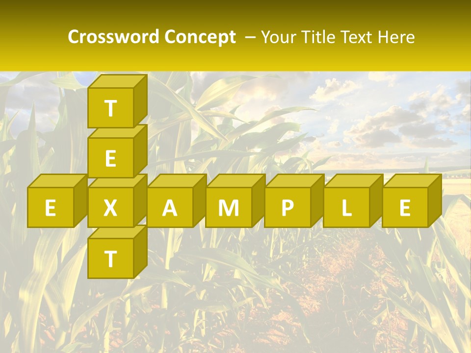 A Corn Field With Clouds In The Background PowerPoint Template