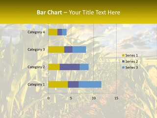 A Corn Field With Clouds In The Background PowerPoint Template