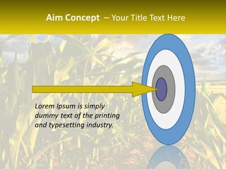 A Corn Field With Clouds In The Background PowerPoint Template