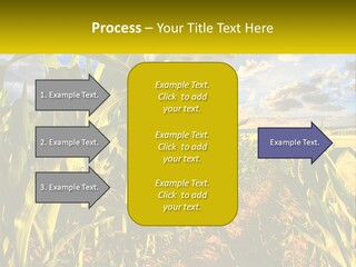 A Corn Field With Clouds In The Background PowerPoint Template