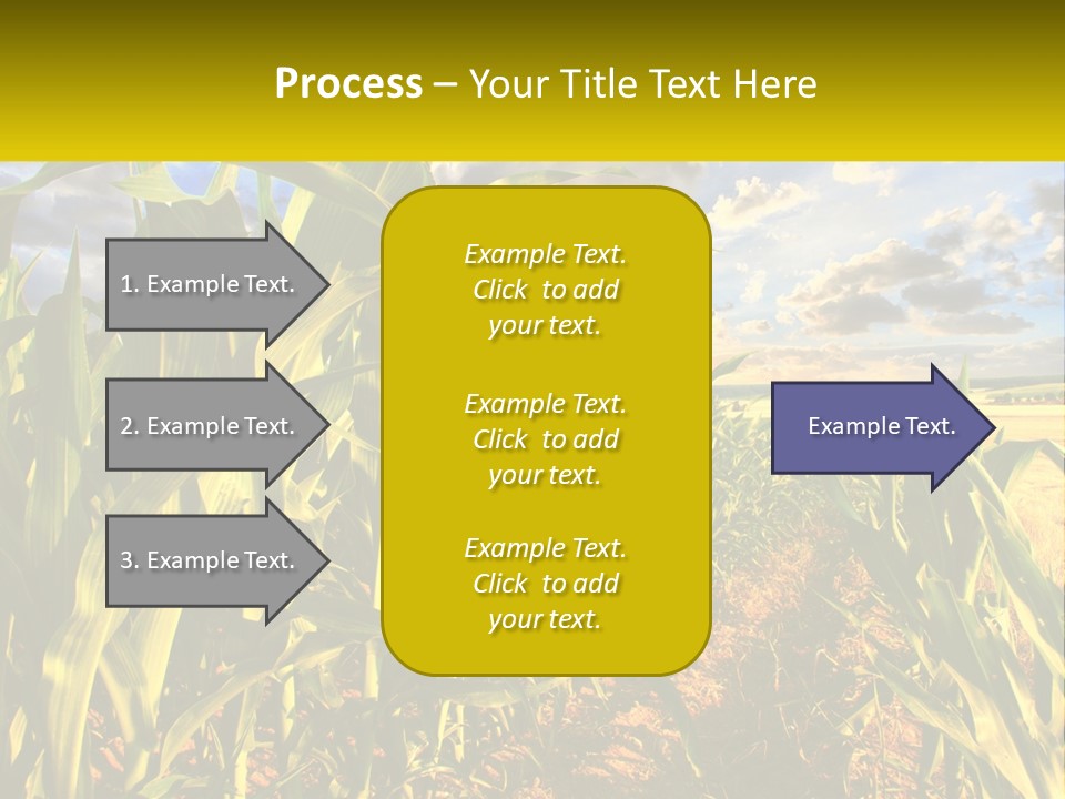 A Corn Field With Clouds In The Background PowerPoint Template