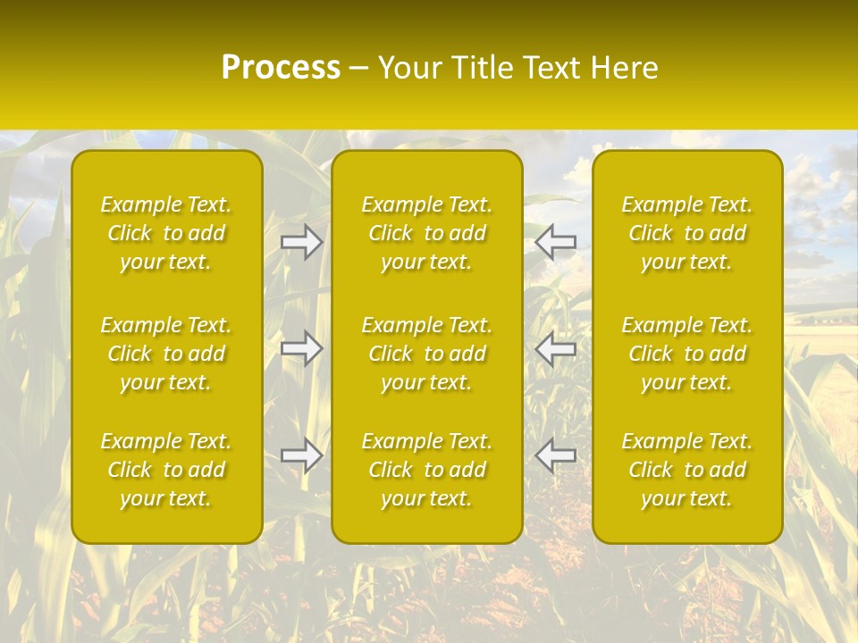 A Corn Field With Clouds In The Background PowerPoint Template