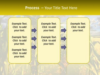 A Corn Field With Clouds In The Background PowerPoint Template