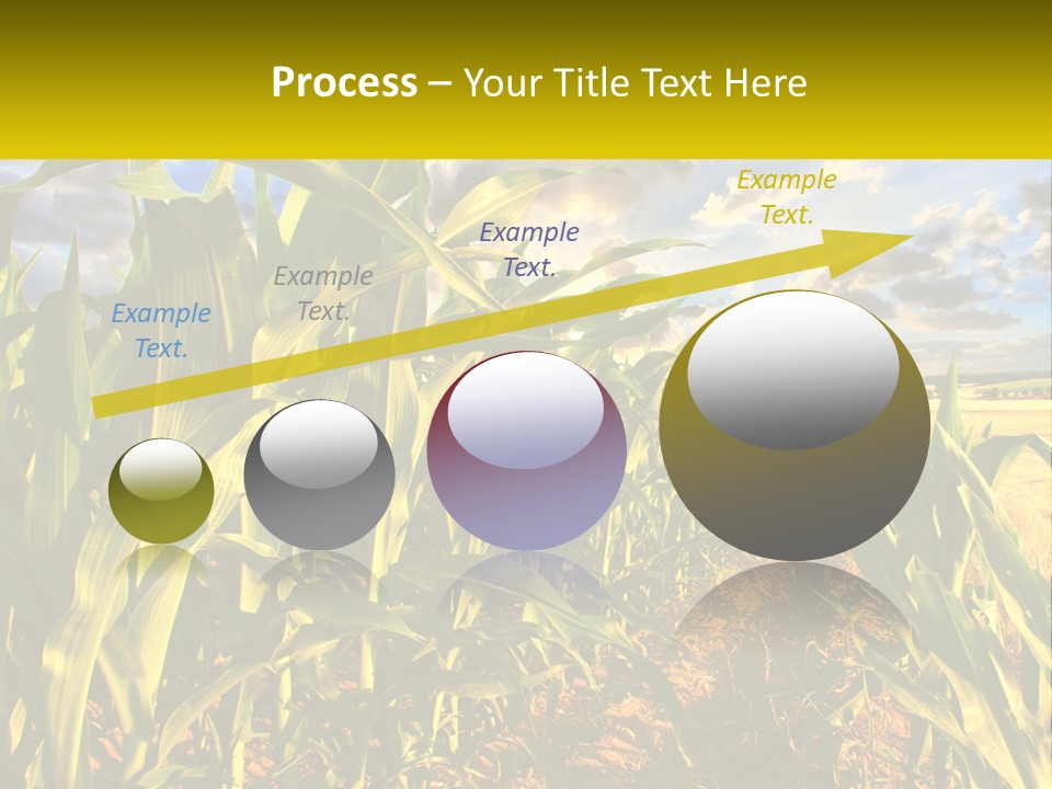 A Corn Field With Clouds In The Background PowerPoint Template