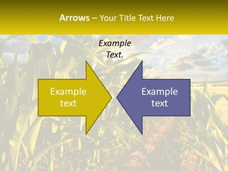 A Corn Field With Clouds In The Background PowerPoint Template