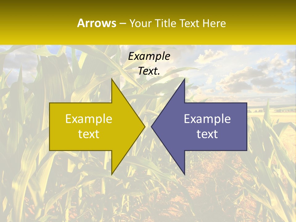 A Corn Field With Clouds In The Background PowerPoint Template