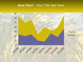 A Corn Field With Clouds In The Background PowerPoint Template